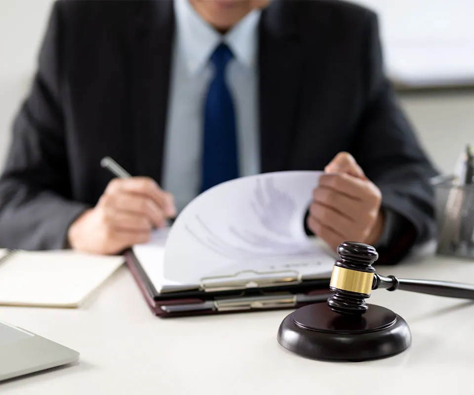 Litigio y Resolución de Disputas